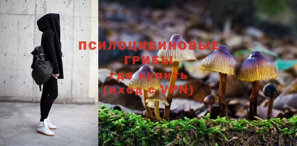 молекула духа Беломорск