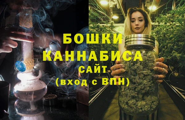 PSILOCYBIN Богданович