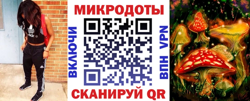 магазин продажи наркотиков  блэк спрут как зайти  Псилоцибиновые грибы Cubensis  Пойковский 