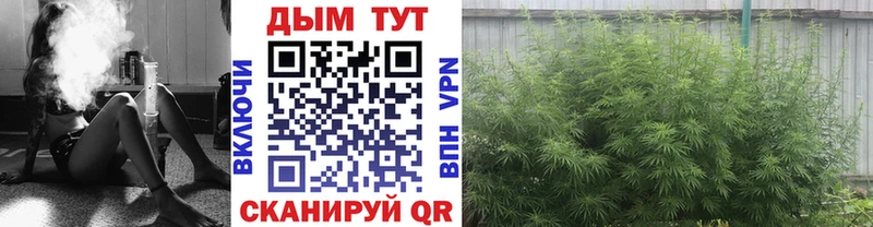 Бошки марихуана SATIVA & INDICA Пойковский